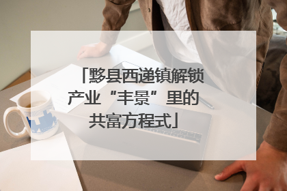 黟县西递镇解锁产业“丰景”里的共富方程式